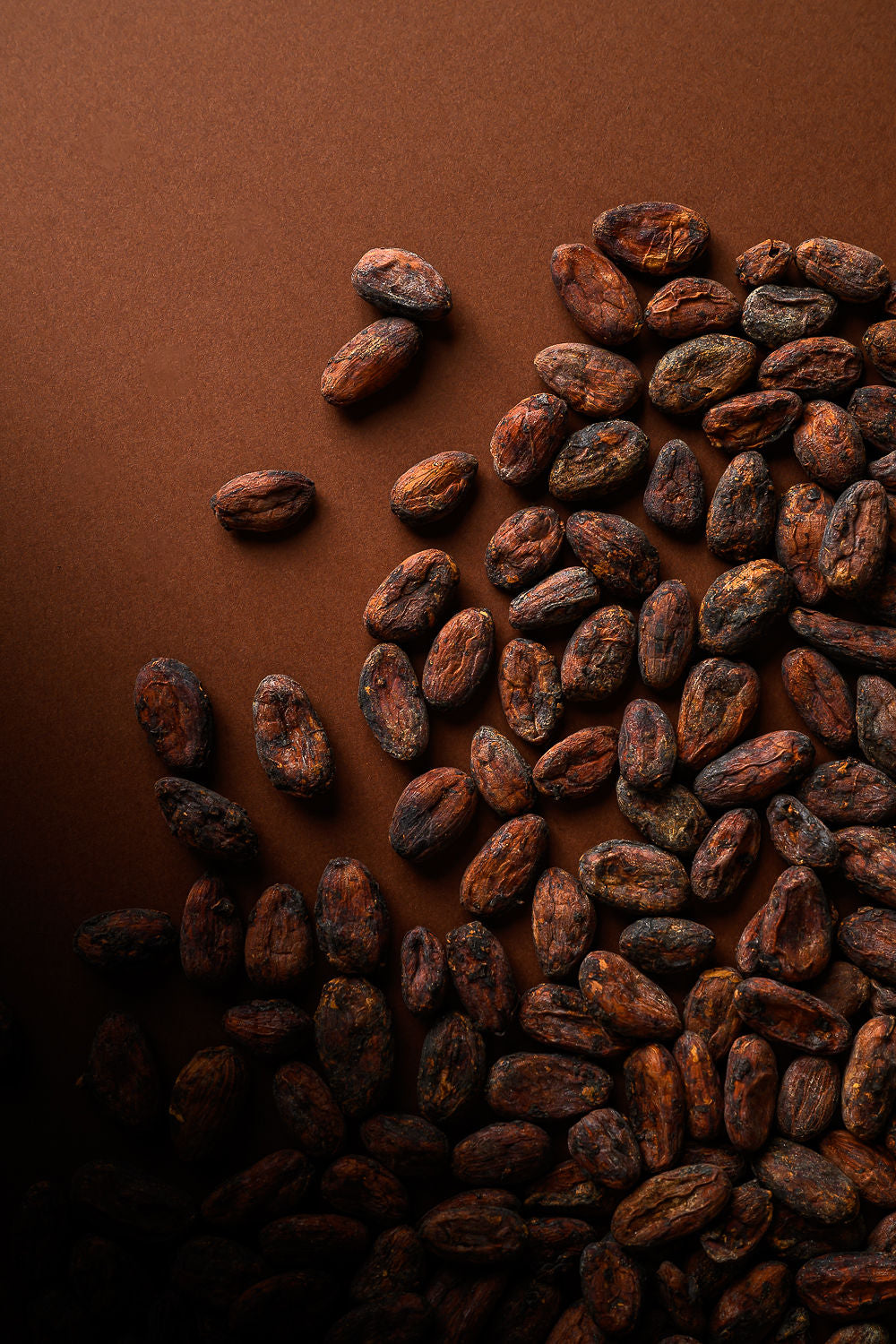 Fèves de cacao