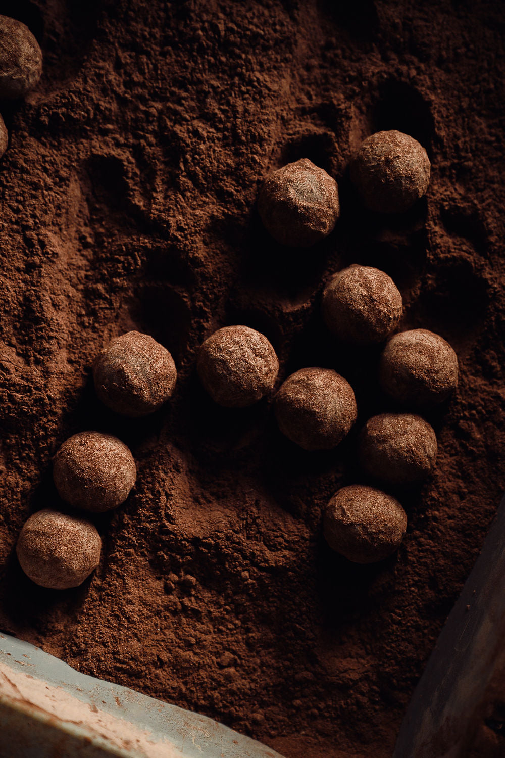 Truffes roulées dans le cacao