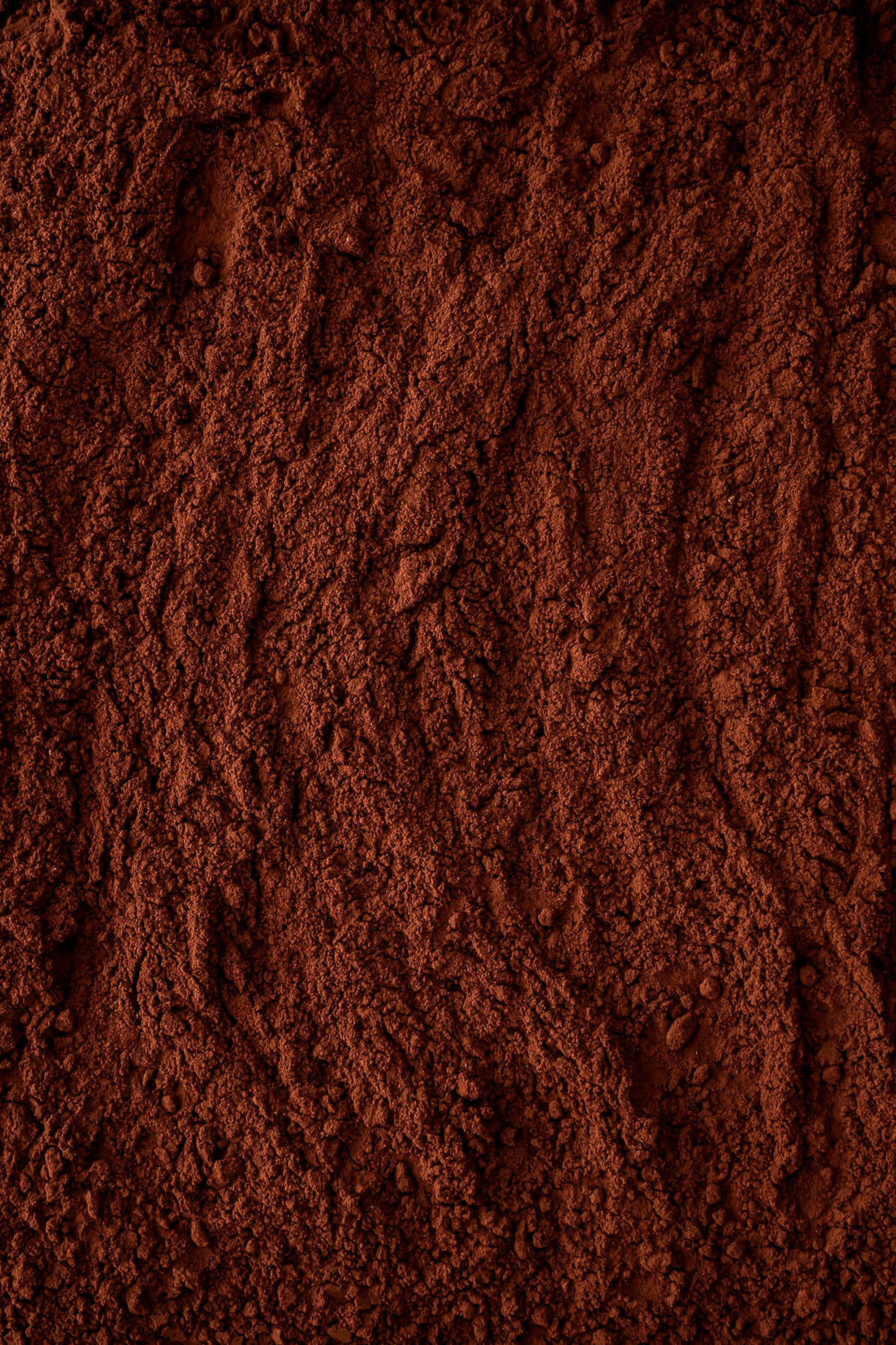 Poudre de cacao