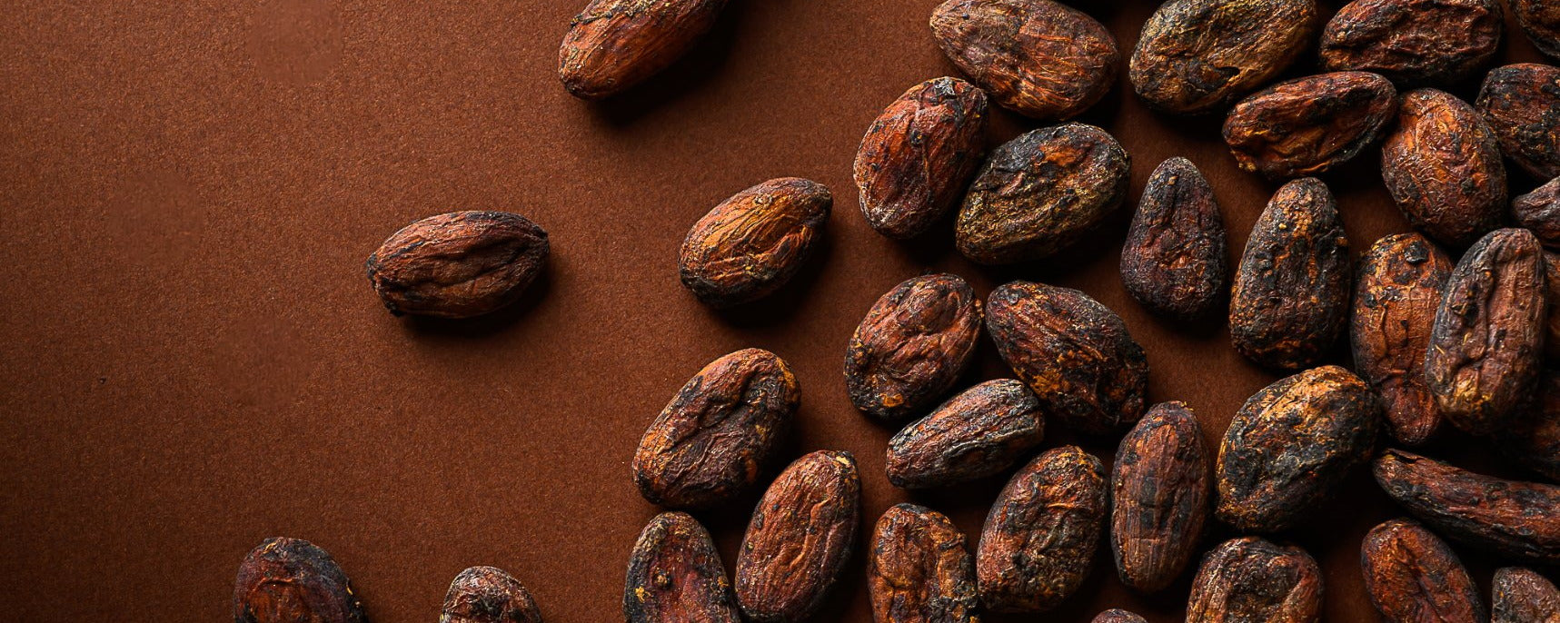 Fèves de cacao brutes sur fond brun, atelier Mathieu Lerenard